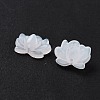 Acrylic Beads OACR-U001-05A-2