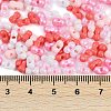Glass Seed Beads SEED-K010-03P-4