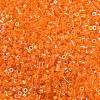 Electroplate Glass Seed Beads SEED-H003-10H-2