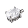 304 Stainless Steel Micro Pave Cubic Zirconia Charms STAS-L022-160P-A02-2