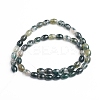 Natural Moss Agate Beads Strands G-E560-J01-2