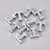 Alloy Slide Charms LS-PALLOY-WH0066-21T-2