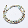 Natural Aqua Terra Jasper Beads Strands G-E444-18-2