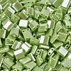 MIYUKI TILA Beads X-SEED-J020-TL439-3