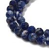Natural Sodalite Beads Strands G-B088-C03-04-4