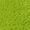 MIYUKI Delica Beads SEED-X0054-DB0766-3