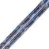 2 Strands Natural Sodalite Beads Strands G-GO0001-42-1