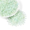 Frosted Glass Seed Beads SEED-N012-01D-1