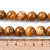 Natural Alashan Agate Beads Strands G-H343-D05-12mm-C-5