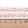 Baking Paint Transparent Glass Beads X1-DGLA-N011-8mm-03-4