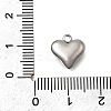 304 Stainless Steel Charms STAS-Z163-03P-3