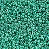 MIYUKI Round Rocailles Beads SEED-G007-RR5105-2