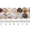 Natural Dendritic Agate Beads Strands G-A248-A07-03-5