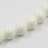 Natural White Shell Beads Strands BSHE-E002-02-8mm-2