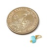 Dyed Natural Freshwater Shell Nuggets Charms PALLOY-JF04375-01-2