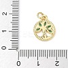 Brass Micro Pave Cubic Zirconia Charms ZIRC-I356-22G-3