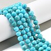 Natural Persian Jade Beads Strands G-A255-A02-02H-2