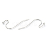 Non-Tarnish 316 Surgical Stainless Steel Earring Hooks LS-X-STAS-M288-04P-2