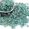 Glass Seed Beads SEED-M011-01A-13-1