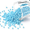 12/0 Glass Seed Beads SEED-US0003-2mm-43-1