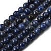 Natural Sodalite Beads Strands G-P582-8mm-02-2