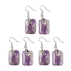 Natutal Amethyst Dangle Earrings EJEW-F343-E09-1