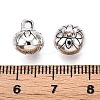 Tibetan Style Alloy Charms FIND-C060-065AS-3
