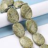 Natural Serpentine/Green Lace Stone Beads Strands G-P469-02-3