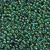 MIYUKI Round Rocailles Beads SEED-X0054-RR1016-3