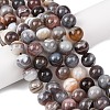 Natural Botswana Agate Beads Strands G-G453-A01-10mm-1