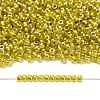 TOHO 11/0 Round Beads X-SEED-TR11-1013-4