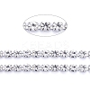 304 Stainless Steel Rhinestone Strass Chains STAS-T055-12P-A-1