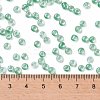 6/0 Glass Seed Beads X-SEED-A015-4mm-2218-4