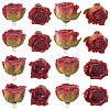 10Pcs Preserved Rose Pendants KY-TA0001-59C-2