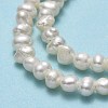 Natural Cultured Freshwater Pearl Beads Strands PEAR-F018-01B-4