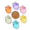 Transparent Acrylic Pendants TACR-S154-28B-3