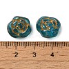 Transparent Lampwork Beads LAMP-P065-01A-02-3