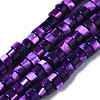 Natural Trochus Shell Beads Strands SHEL-S278-027-5