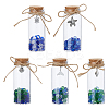 Glass Bead in Transparent Glass Bottle Display Decorations AJEW-AB00172-1