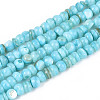 Natural Freshwater Shell Dyed Beads Strands SHEL-T020-29A-02-1