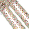 4.8~5 Yards Sparkle Polyester Lace Trim Ribbon with Plastic Paillettes OCOR-CY0001-14B-1