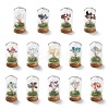 Natural Mixed Gemstone Chips Money Tree in Dome Glass Bell Jars with Wood Base Display Decorations DJEW-K030-02-1
