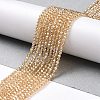 Transparent Electroplate Glass Beads Strands GLAA-H021-01A-PL01-3