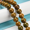 Natural Ocean Jasper Beads Strands G-P503-10MM-07-2