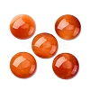 Natural Agate Cabochons G-K348-08B-02-1