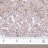 MIYUKI Round Rocailles Beads X-SEED-G007-RR0023-4