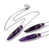 Natural Amethyst Bullet Shaped Perfume Bottle Pendant Necklaces G-B089-02P-08-1