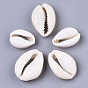 Natural Cowrie Shell Beads LS-X-SSHEL-N034-34-2