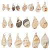 20Pcs 10 Styles Electroplated Spiral Shell Pendants SSHEL-HY0001-04-1