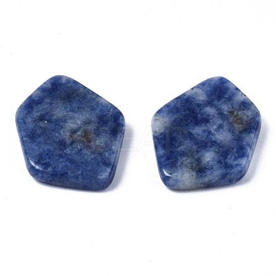 Natural Blue Spot Jasper Cabochons G-S359-323B-1